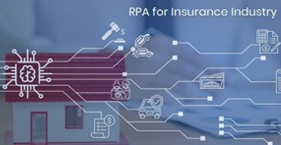 Insurance Data Sheet